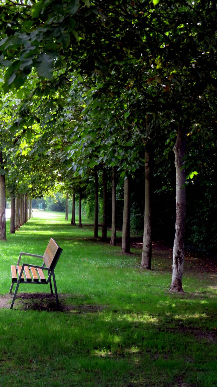 5 Family Friendly Seattle Parks Worth the Drive